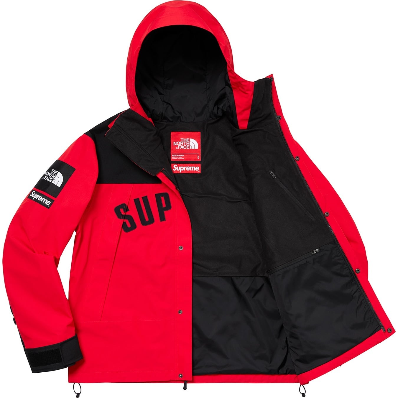 Supreme®/The North Face® Arc Logo Mountain Parka view 16